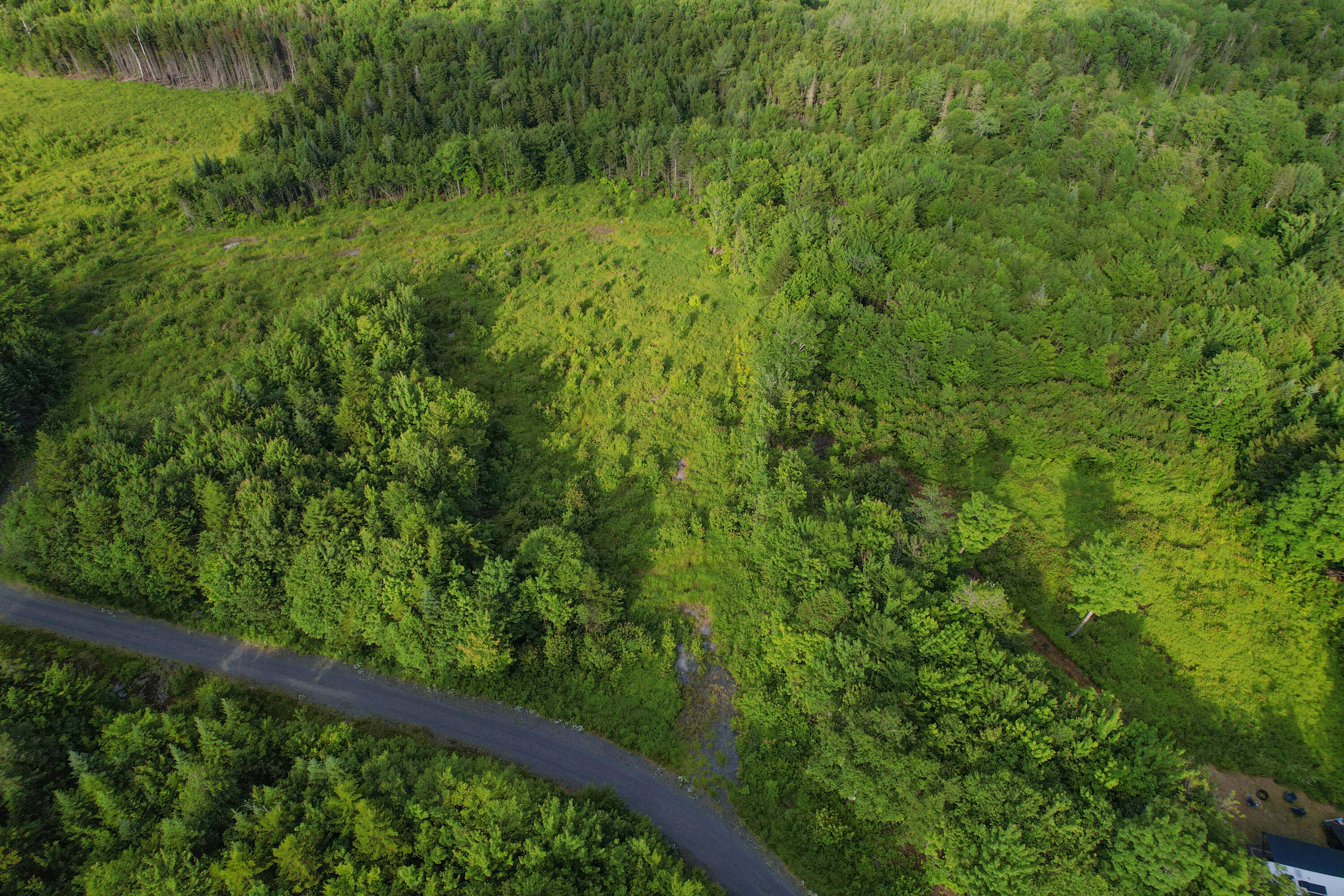 Lot 1 East Ridge Drive Greenville, ME 04441 - Photo 7 of 10 lot1-6