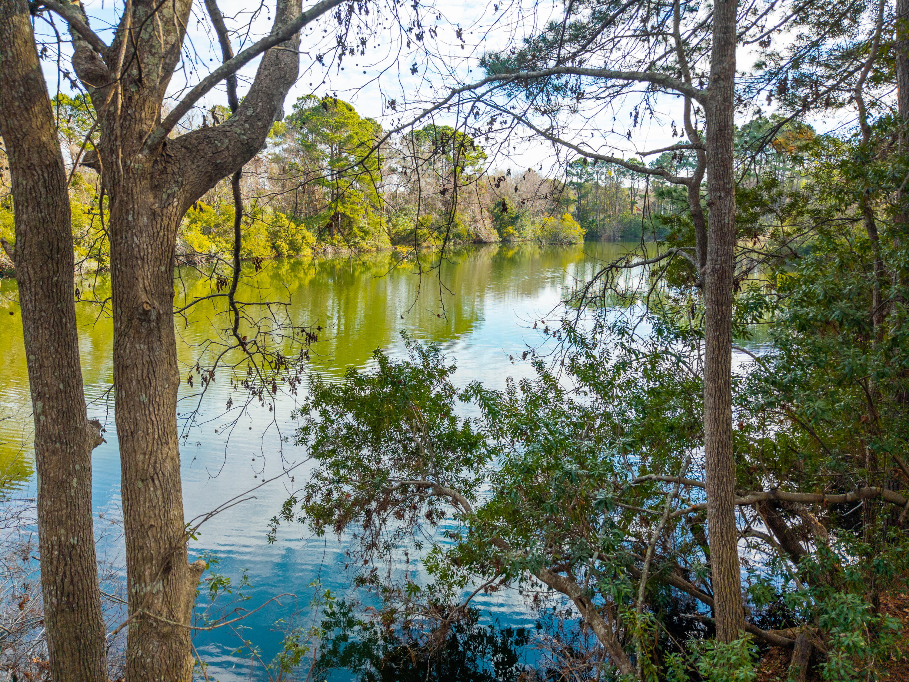 109 Jakes Lane Mount Pleasant, SC 29464 - Photo 42 of 55 109JakesLn-KeenEyeMarketing-083