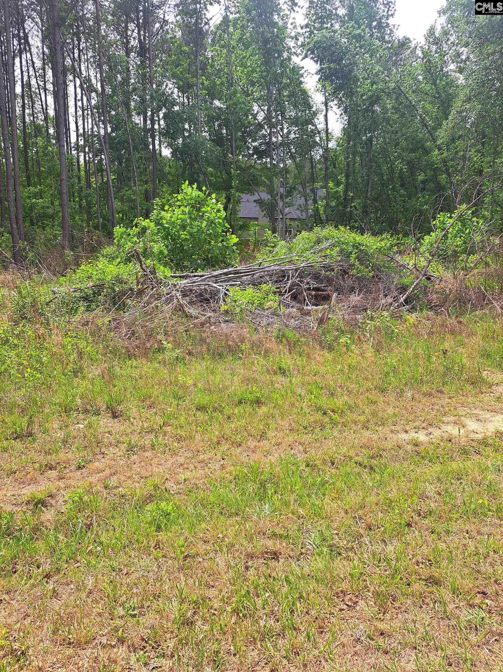 460 Grover Wilson Road Blythewood, SC 29016 - Photo 6 of 19