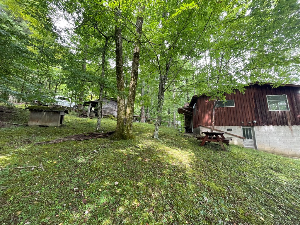 230 Walnut Tree Lane Topton, NC 28781 - Photo 7 of 37