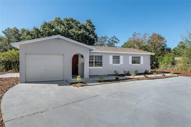 a backyard of a house with potted plants and large tree