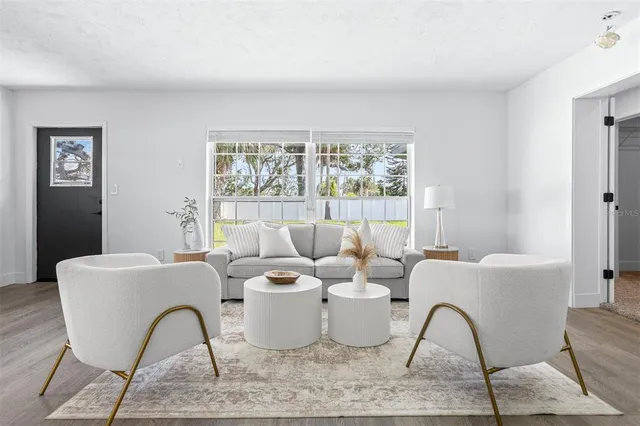 a living room with furniture rug and window