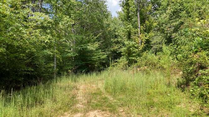 0 Cowart Road Hayesville, NC 28904 - Photo 2 of 20 Gallery Image 2