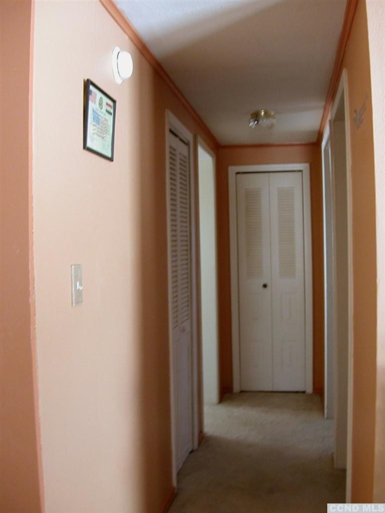 113 George Road Ghent, NY 12075 - Photo 7 of 10 Photo 7