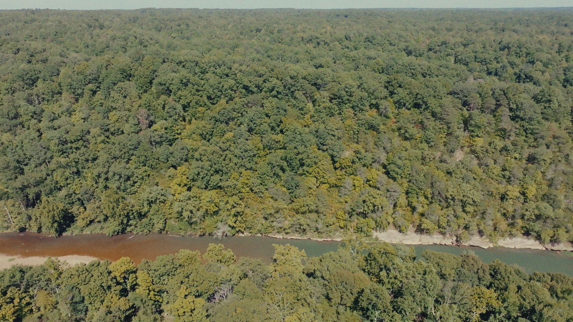 853 Rockhouse Road Linden, TN 37096 - Photo 17 of 25 Gallery Image 17