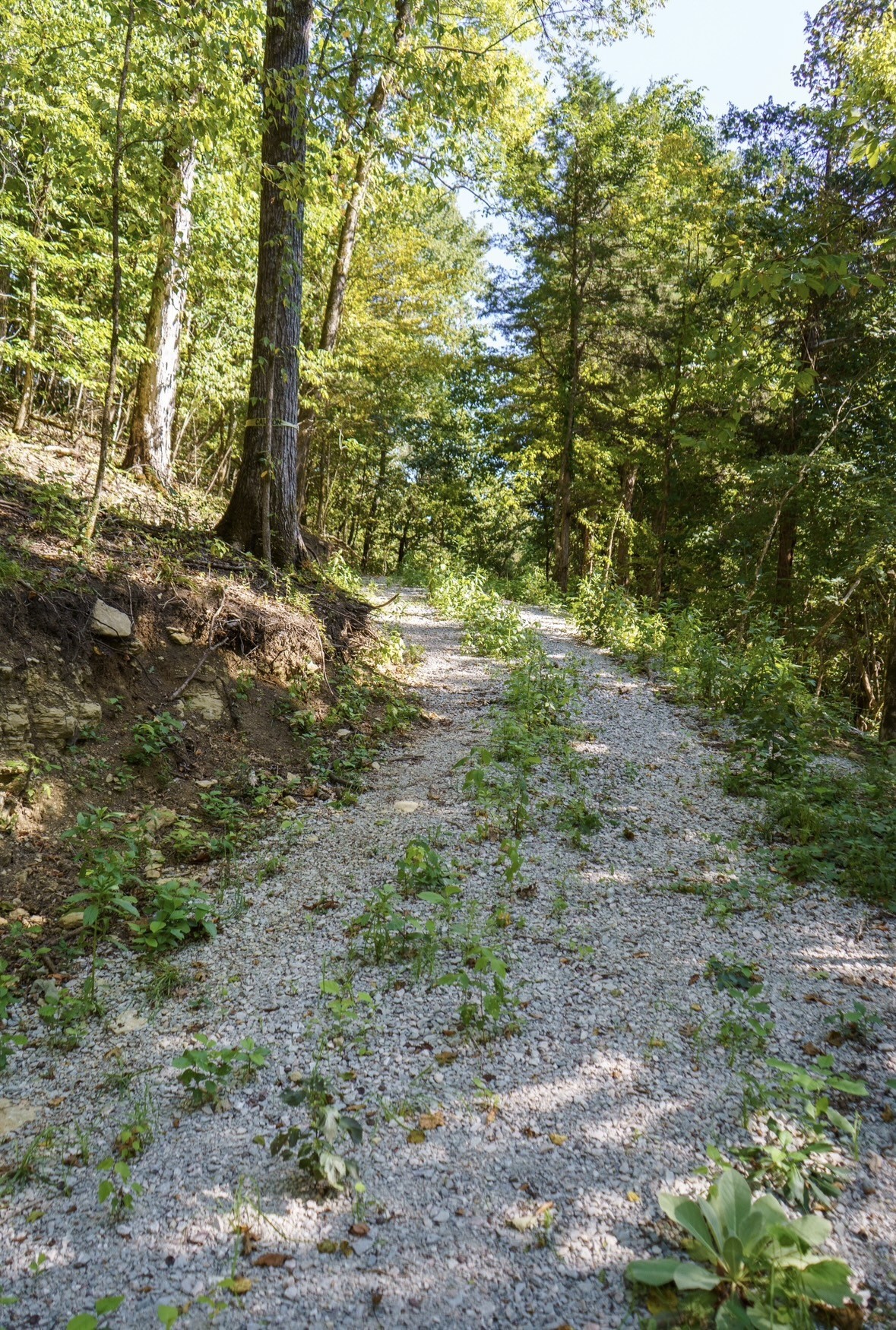 853 Rockhouse Road Linden, TN 37096 - Photo 23 of 25 Gallery Image 23