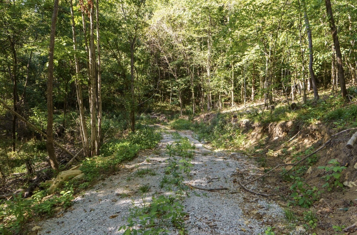 853 Rockhouse Road Linden, TN 37096 - Photo 24 of 25 Gallery Image 24