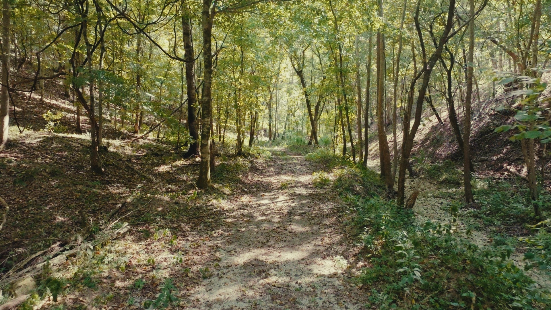 853 Rockhouse Road Linden, TN 37096 - Photo 3 of 25 Gallery Image 3