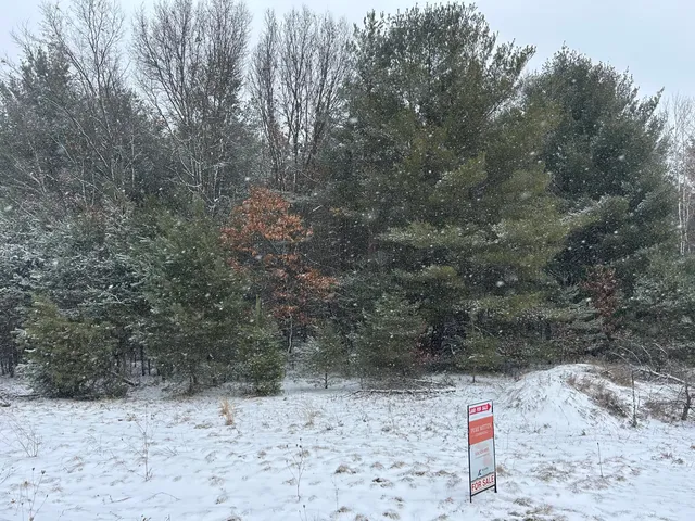 $72,000 | 9530 Federal Road, Howard City, MI 49329