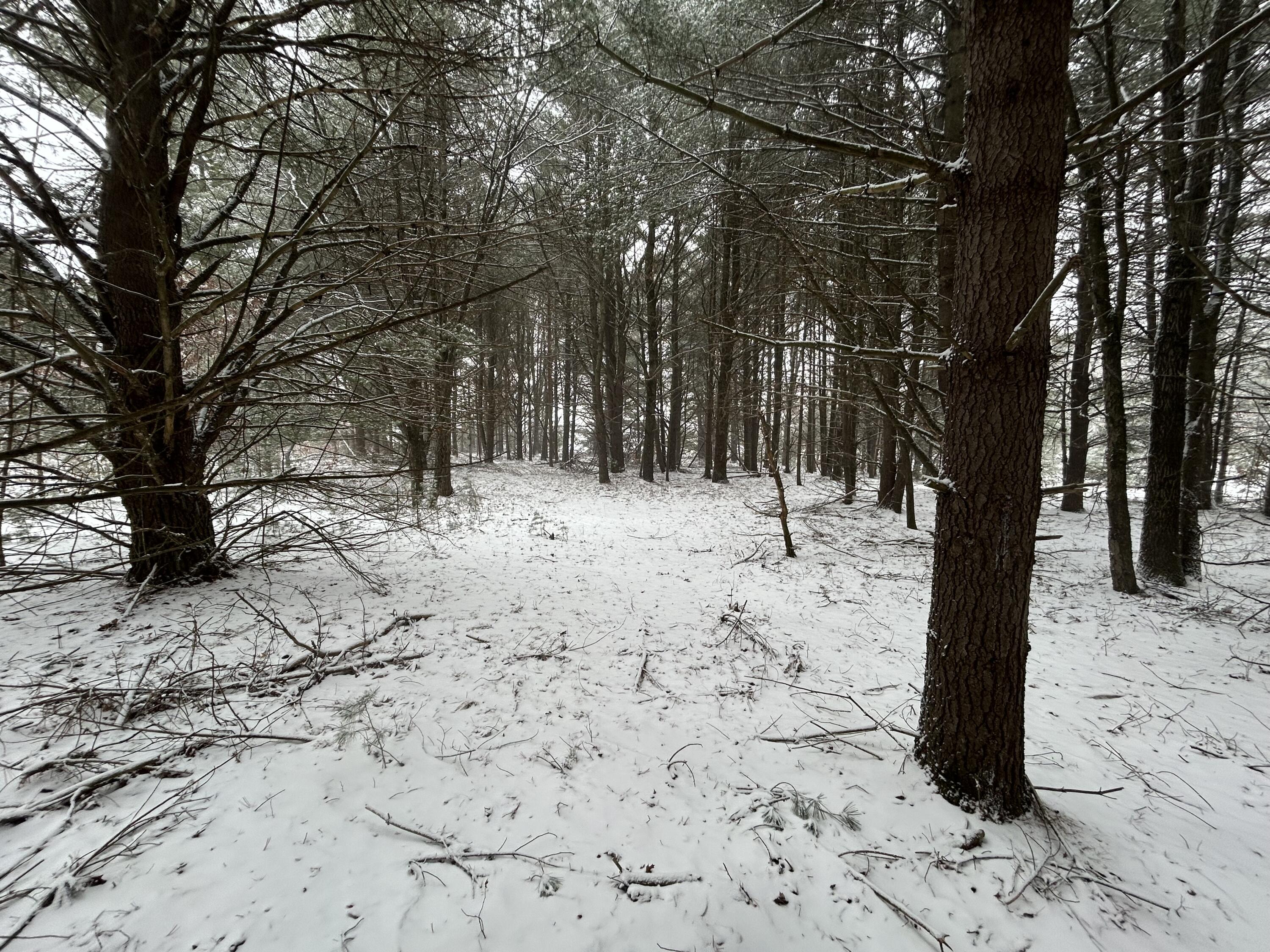 9530 Federal Road Howard City, MI 49329 - Photo 3 of 9 IMG_4573 (1)