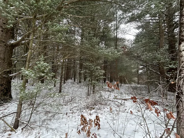 $72,000 | 9530 Federal Road, Howard City, MI 49329