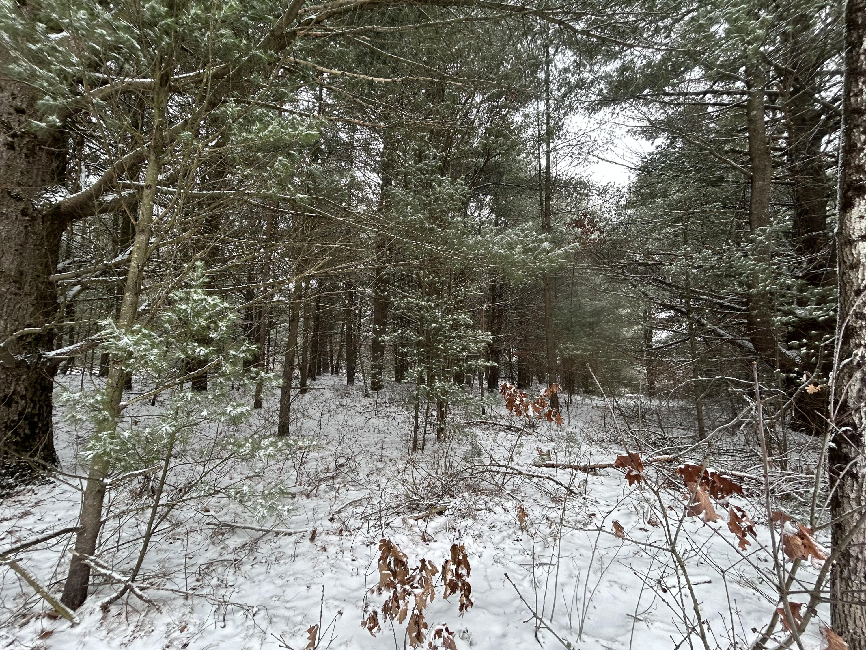 9530 Federal Road Howard City, MI 49329 - Photo 5 of 9 IMG_4570