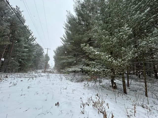 $72,000 | 9530 Federal Road, Howard City, MI 49329