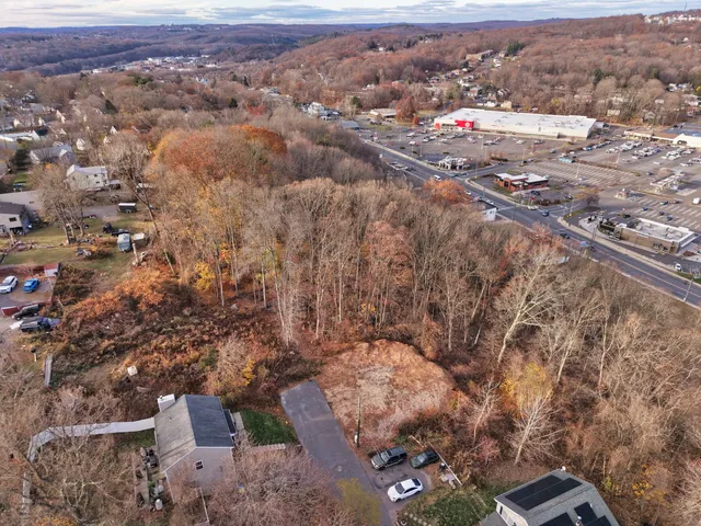 a view of backyard and trees
