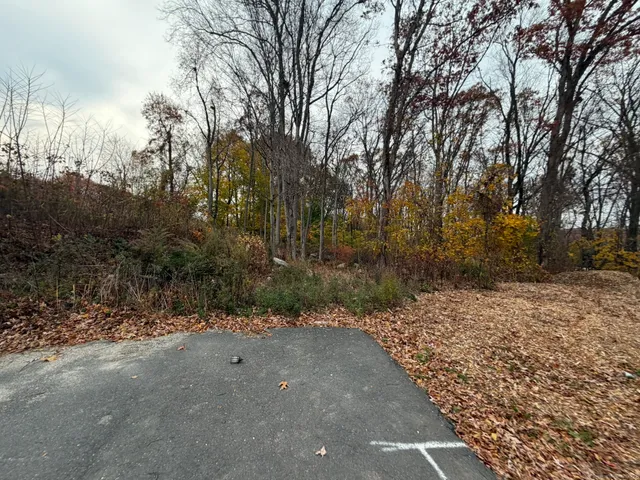 a view of dirt yard with trees