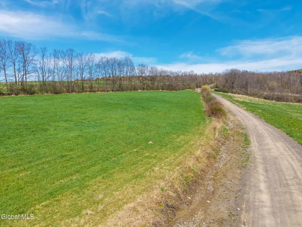 $32,000 | L40 Brown Road, Warnerville, NY 12187