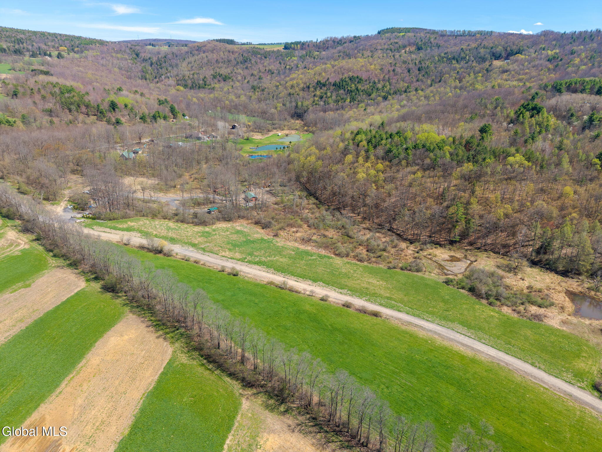 L40 Brown Road Warnerville, NY 12187 - Photo 2 of 10 3-BrownRd_03