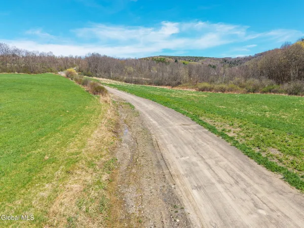 $32,000 | L40 Brown Road, Warnerville, NY 12187