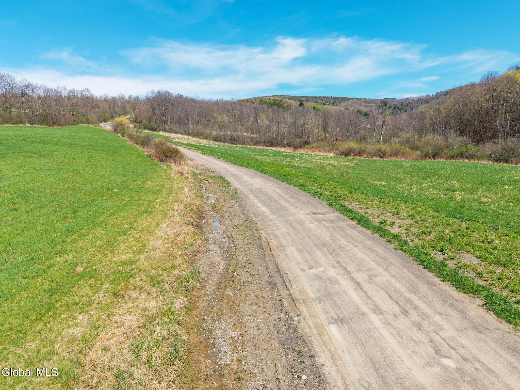 L40 Brown Road Warnerville, NY 12187 - Photo 4 of 10 9-BrownRd_09