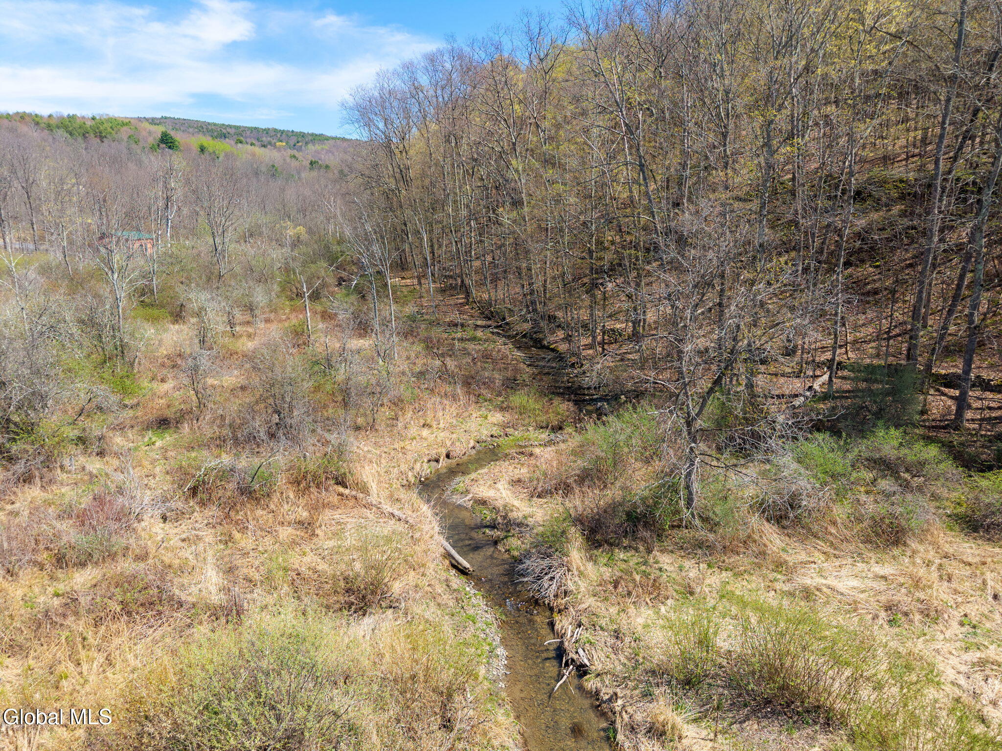 L40 Brown Road Warnerville, NY 12187 - Photo 5 of 10 5-BrownRd_05