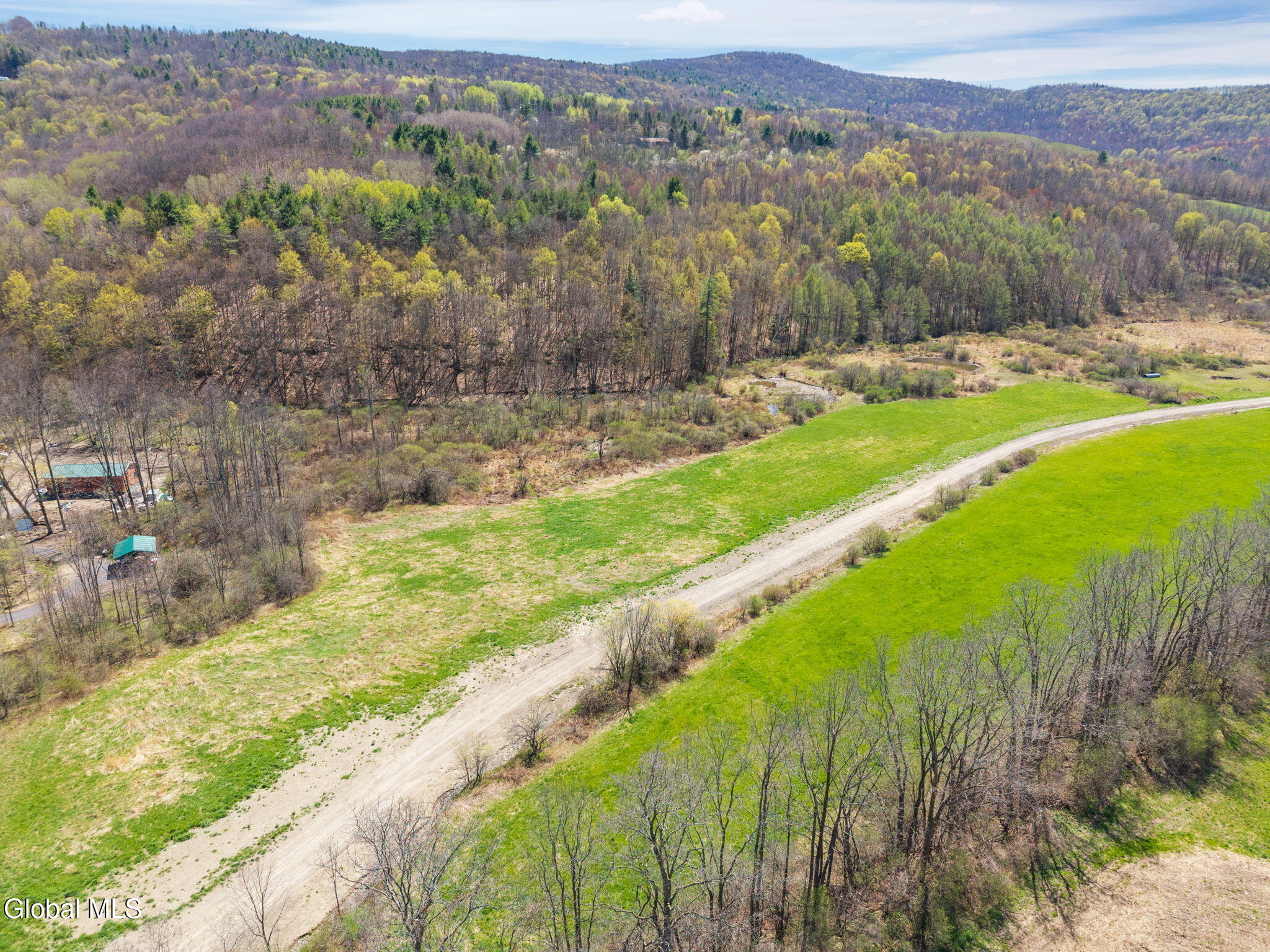 L40 Brown Road Warnerville, NY 12187 - Photo 6 of 10 8-BrownRd_08