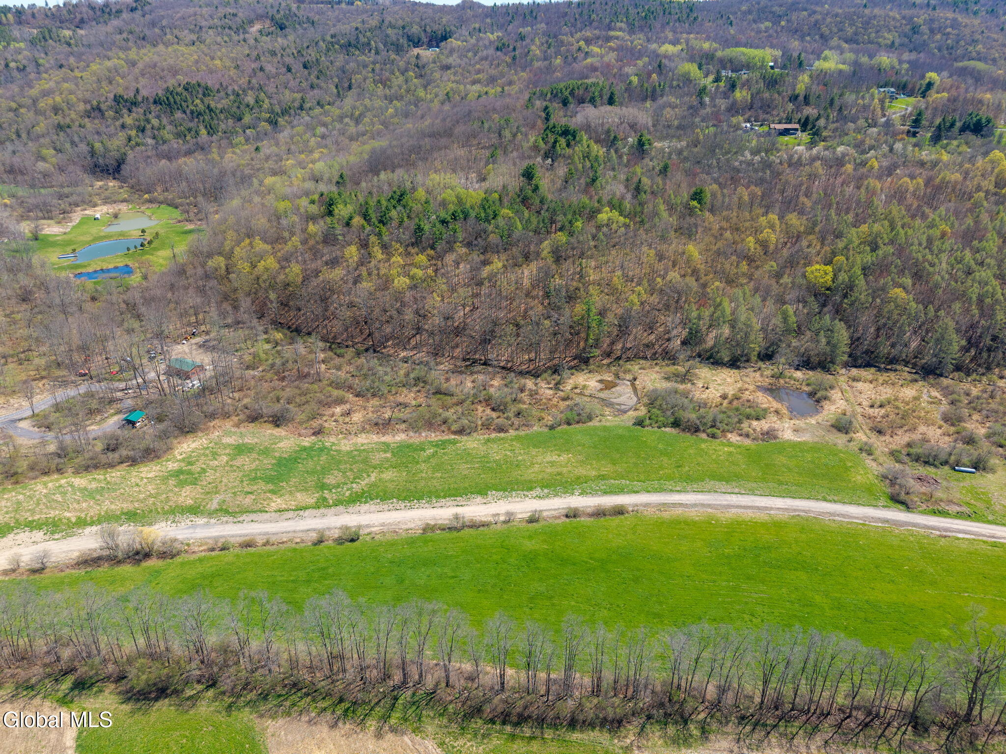 L40 Brown Road Warnerville, NY 12187 - Photo 7 of 10 1-BrownRd_01