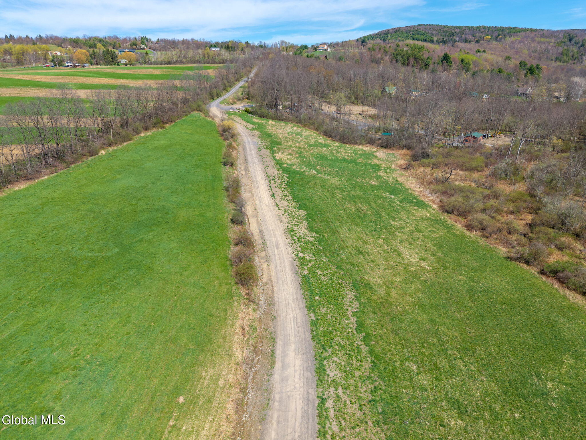 L40 Brown Road Warnerville, NY 12187 - Photo 8 of 10 4-BrownRd_04