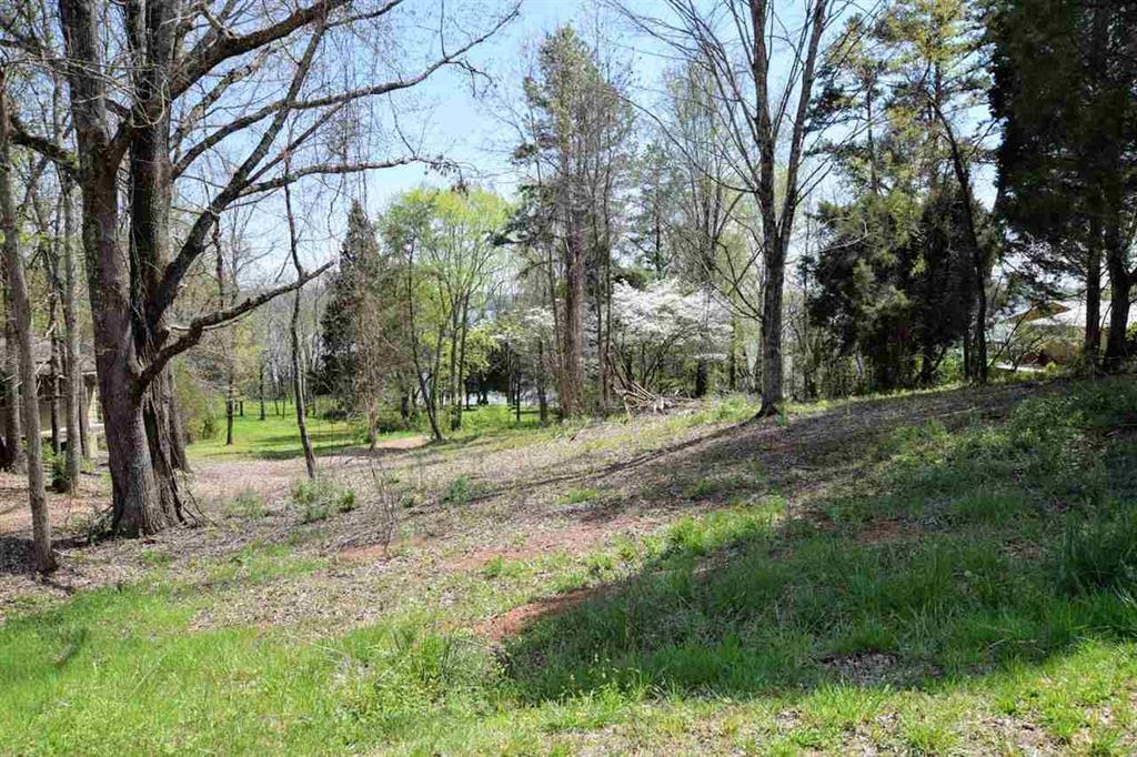 385 Cedar Heights Road Spring City, TN 37381 - Photo 11 of 11 20182169-11