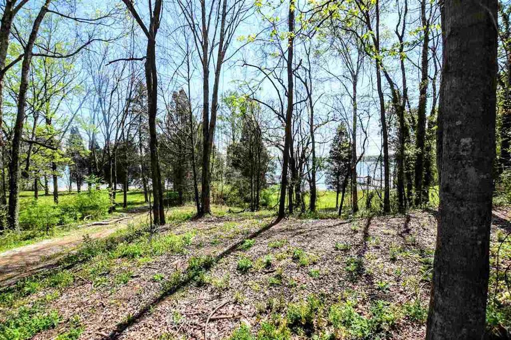 385 Cedar Heights Road Spring City, TN 37381 - Photo 6 of 11 20182169-5