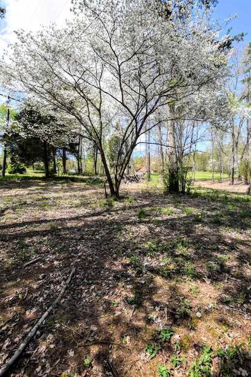 385 Cedar Heights Road Spring City, TN 37381 - Photo 7 of 11 20182169-6