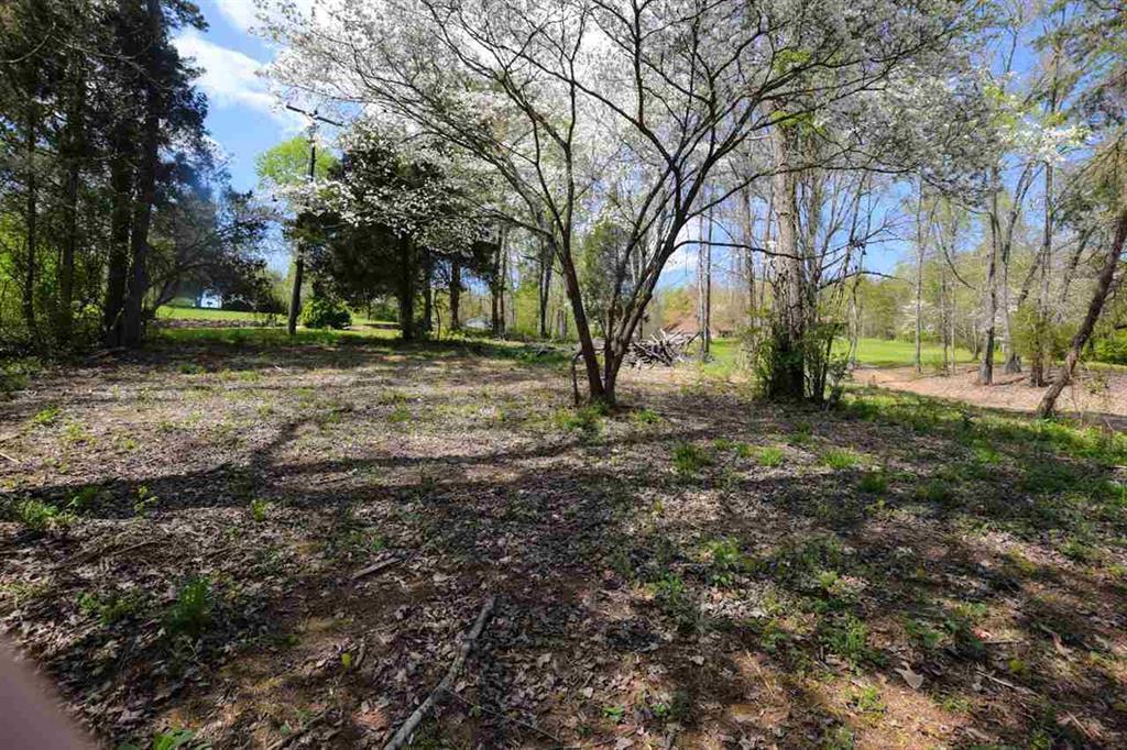 385 Cedar Heights Road Spring City, TN 37381 - Photo 8 of 11 20182169-7