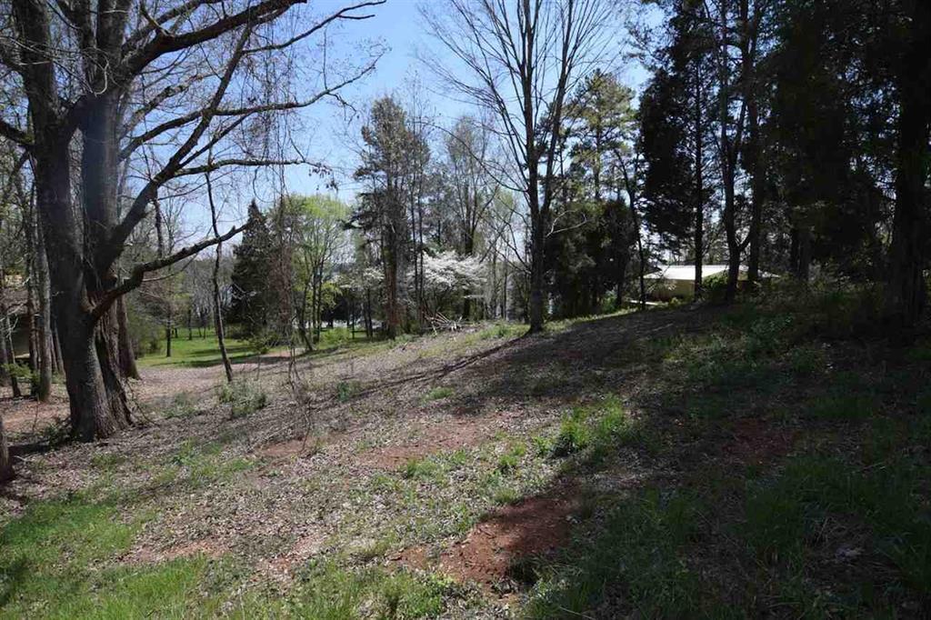 385 Cedar Heights Road Spring City, TN 37381 - Photo 9 of 11 20182169-8