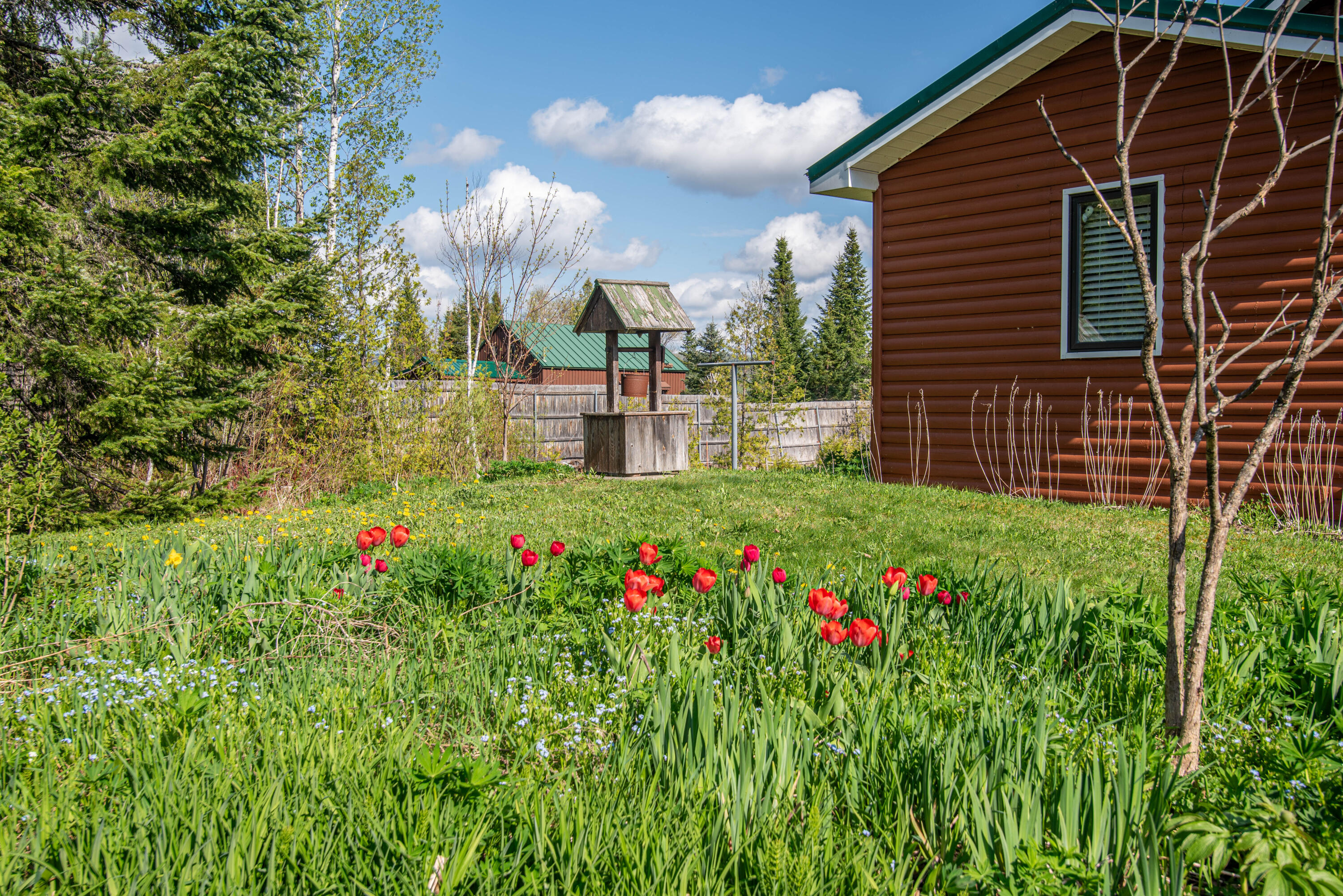 316 Sinclair Road Sinclair, ME 04779 - Photo 21 of 71 DSC_1013
