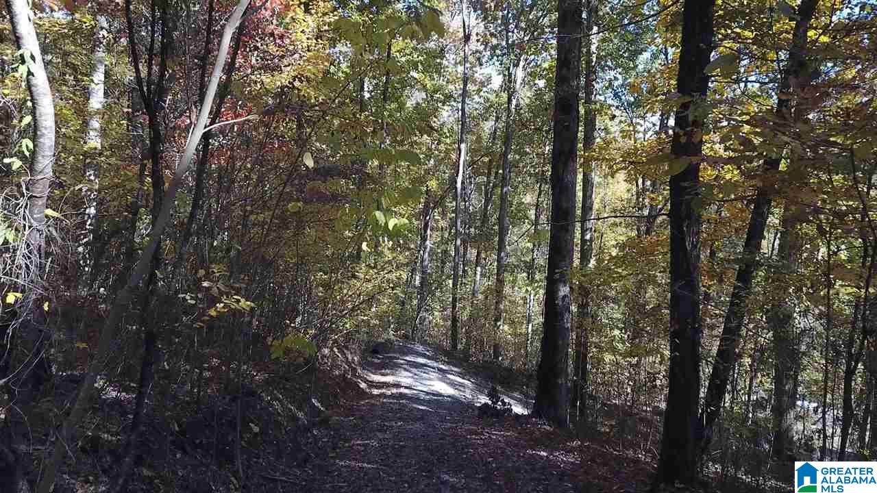 225 Oak Valley Road Springville, AL 35146 - Photo 7 of 8