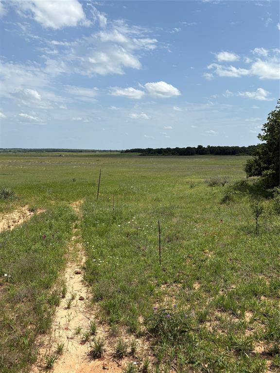 268 County Road 268 Rising Star, TX 76471 - Photo 21 of 22