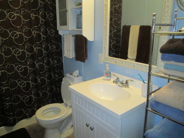 166 Goney Road Grimsley, TN 38565 - Photo 13 of 17 13 Guest bath