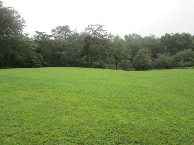 166 Goney Road Grimsley, TN 38565 - Photo 17 of 17 17 Backyard