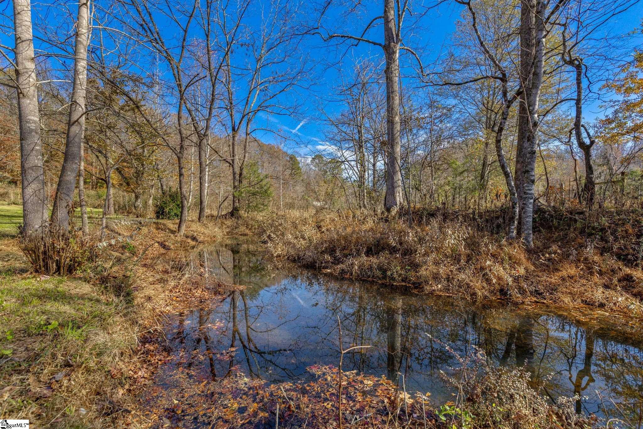 202 Cove Creek Road Pickens, SC 29671 - Photo 4 of 40