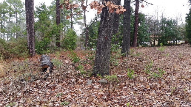 122 Sandy Run Road Bonaire, GA 31005 - Photo 7 of 8 Additional Photo