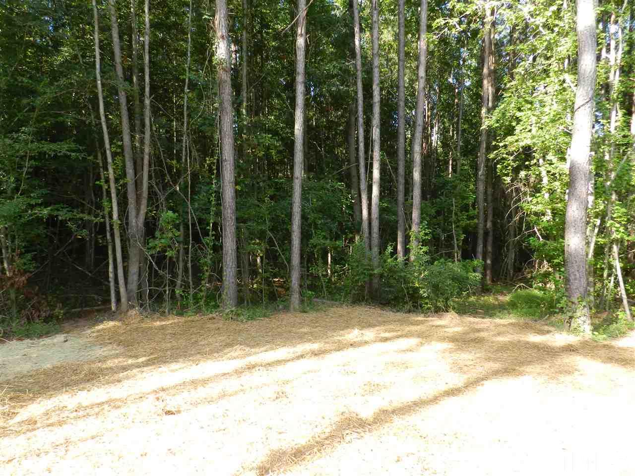 206 Lee Road Clayton, NC 27520 - Photo 10 of 11 Gallery Image 10