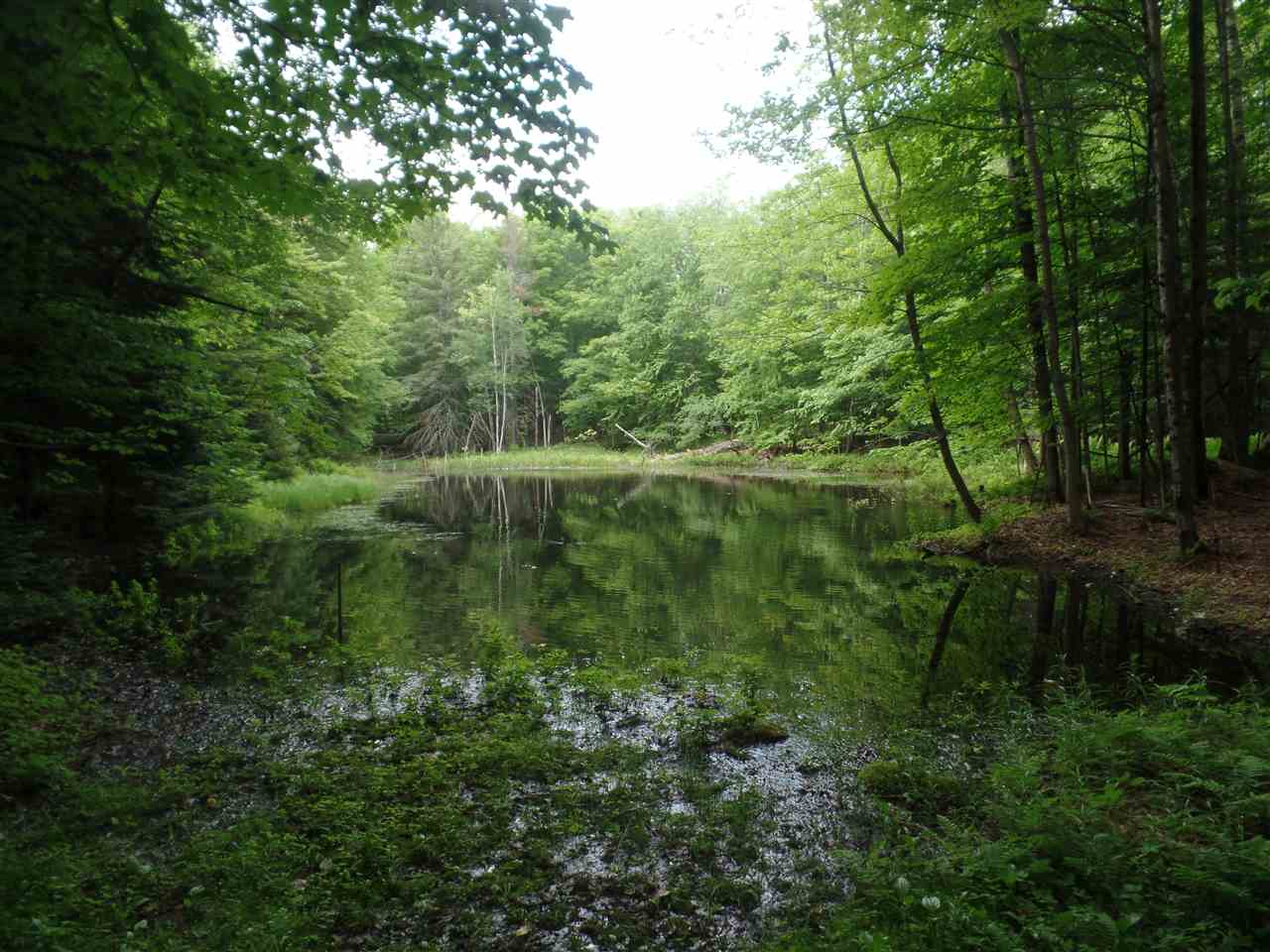 369 Adamant Road Calais, VT 05640 - Photo 11 of 37
