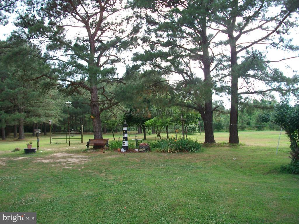 24706 McInturff Road Deal Island, MD 21821 - Photo 20 of 25 Gallery Image 20