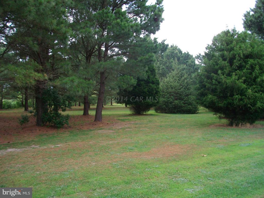 24706 McInturff Road Deal Island, MD 21821 - Photo 21 of 25 Gallery Image 21