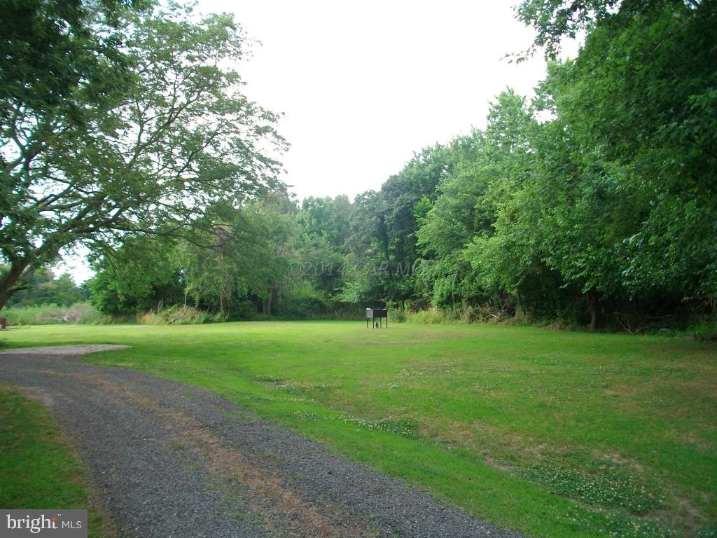 24706 McInturff Road Deal Island, MD 21821 - Photo 22 of 25 Gallery Image 22