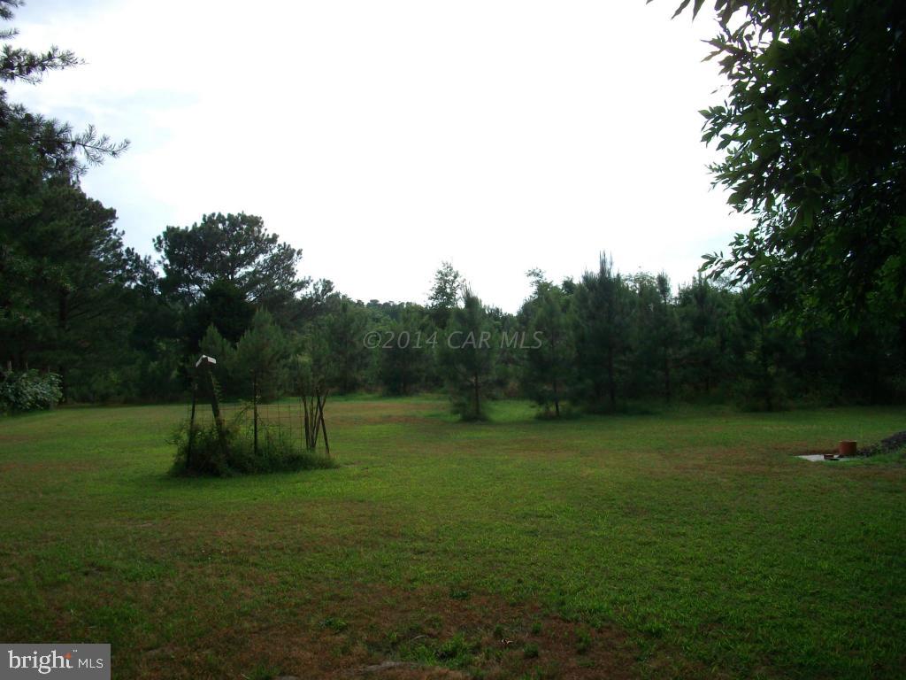 24706 McInturff Road Deal Island, MD 21821 - Photo 25 of 25 Gallery Image 25