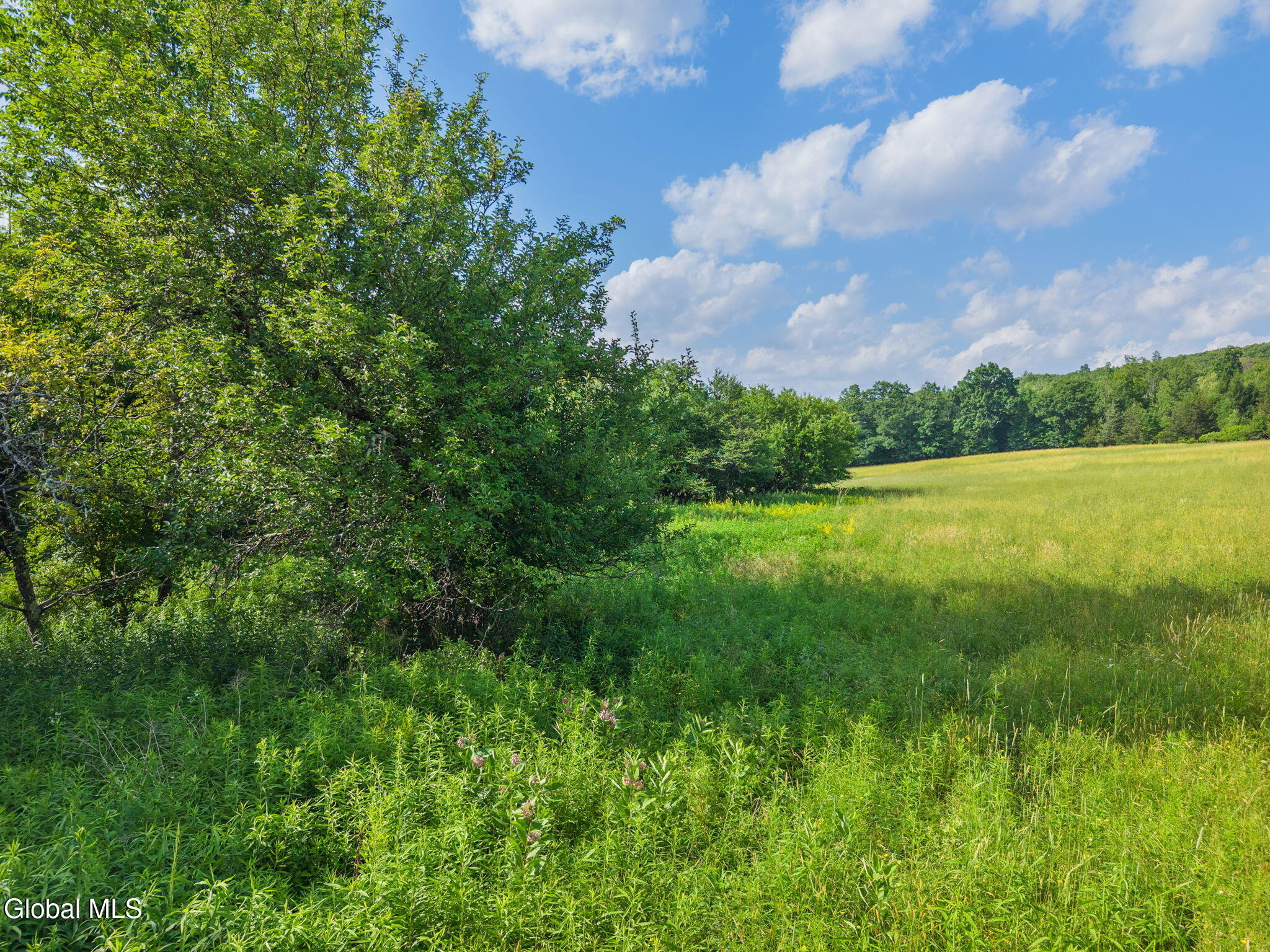 1008 Guinea Road Middleburgh, NY 12122 - Photo 46 of 51 58-1008GuineaRd_58