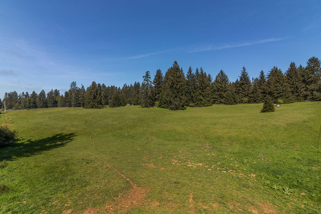 1255 Alder Grove Road Arcata, CA 95521 - Photo 9 of 72