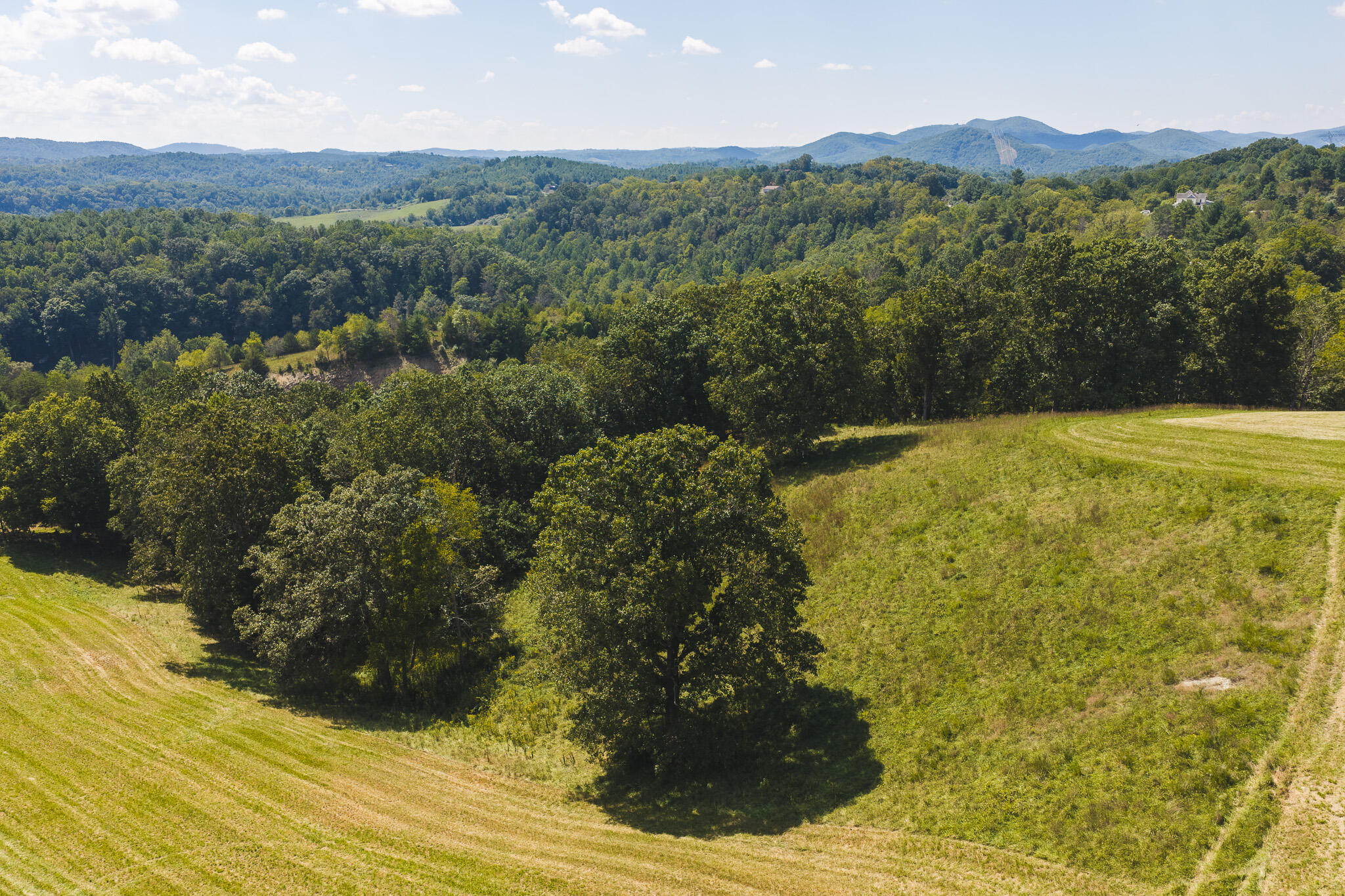5902 Chestnut Ridge Road Riner, VA 24149 - Photo 5 of 50 DJI_20260903133334_0942_D