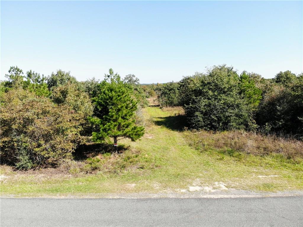 0 Punkin Castor, LA 71016 - Photo 12 of 17 Gallery Image 12
