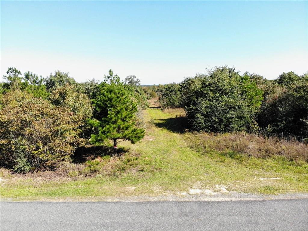 0 Punkin Castor, LA 71016 - Photo 15 of 17 Gallery Image 15